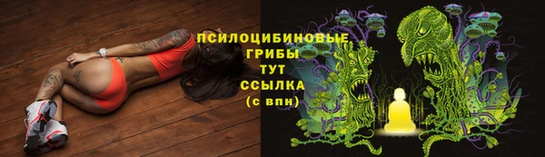 ECSTASY Богородск