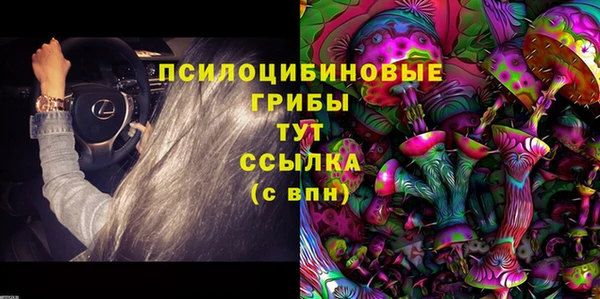 ECSTASY Богородск