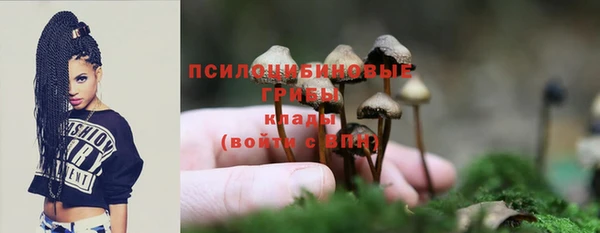 МДМА Богородицк