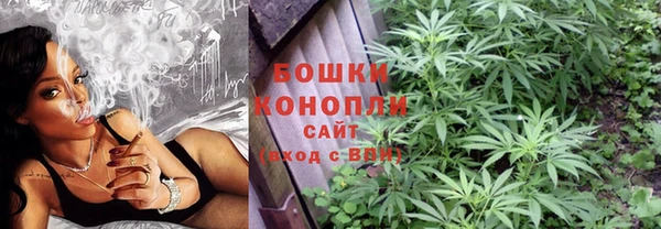 ECSTASY Богородск