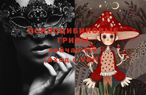 МДМА Богородицк