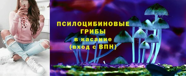 МДПВ Богданович